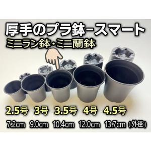 ミニラン鉢・ミニ蘭鉢3.5号[黒]*厚手のプラ...の詳細画像1