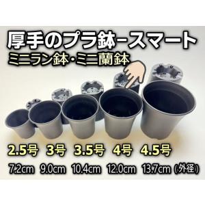 ミニラン鉢・ミニ蘭鉢4号[黒]*厚手のプラ鉢-...の詳細画像1