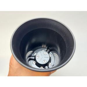 ミニラン鉢・ミニ蘭鉢4.5号[黒]*厚手のプラ...の詳細画像4