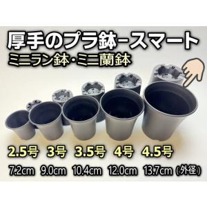 ミニラン鉢・ミニ蘭鉢4.5号[黒]*厚手のプラ...の詳細画像1