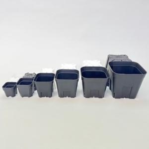 (新)プレステラ120標準鉢(浅型鉢)-(硬質...の詳細画像2
