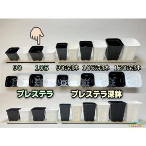 (旧)プレステラ 105-(硬質スリットポット...の詳細画像1