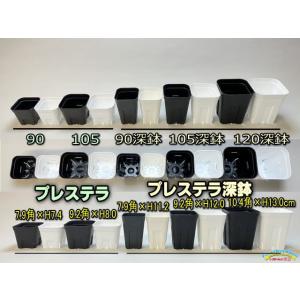 (旧)プレステラ 105-(硬質スリットポット...の詳細画像2