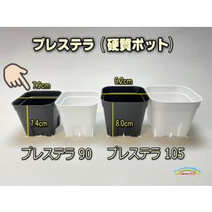 (旧)プレステラ 90-(硬質スリットポット3号...の商品画像