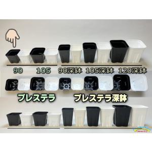 (旧)プレステラ 90-(硬質スリットポット3...の詳細画像4