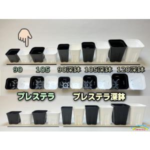 (旧)プレステラ 90-(硬質スリットポット3...の詳細画像4