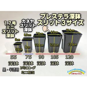 プレステラ深鉢 105-黒★(硬質スリットポッ...の詳細画像5