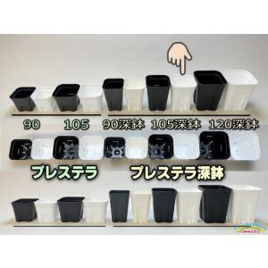 プレステラ深鉢 105-白☆(硬質スリットポッ...の詳細画像1