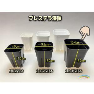 プレステラ深鉢 120-黒★(硬質スリットポット)深型＠多肉植物・塊根植物コーデックス・アガベ・サボテン・果樹鉢・バラ鉢[254GB]