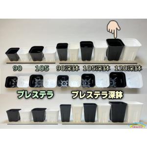 プレステラ深鉢 120-黒★(硬質スリットポッ...の詳細画像1