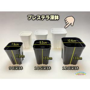 旧)プレステラ 90-(硬質スリットポット3号)-黒[四角]○-1鉢売