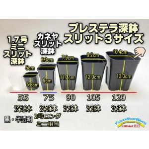 プレステラ深鉢 120-白☆(硬質スリットポッ...の詳細画像5