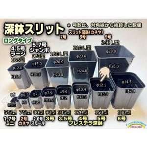 スリット鉢-5号黒(CSM-150)ブラック＠多肉植物・塊根植物コーデックス