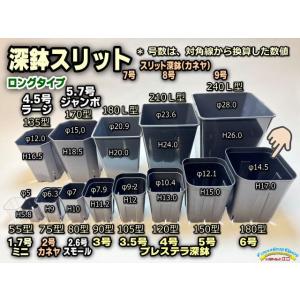 深鉢    ２個 fseguchi_fse-2gobd