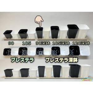 プレステラ深鉢 90-黒★(硬質スリットポット...の詳細画像1