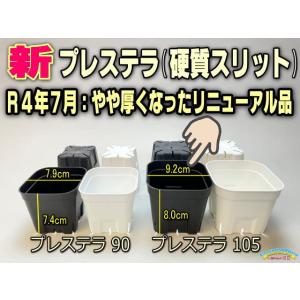(新)プレステラ 105-標準鉢(硬質スリットポット3.5号)-黒[四角]●[254GB]