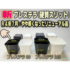 新品 ポラリス 廃盤 プレート 鉢 新品 ポラリス 廃盤 プレート 鉢 【公式通販】