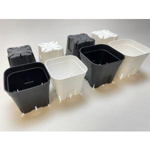 (新)プレステラ 90-標準鉢(硬質スリットポ...の詳細画像3