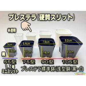 プレステラ75-(硬質スリットポット/スリット鉢2号相当)-白○[四角75型]※1鉢バラ販売＠塊根植物コーデックス・バラ鉢・果樹鉢・アガベ[254GW][1-7W][178]