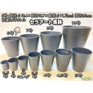 陶器風プラ鉢セラアート長鉢-6号/6寸-黒｜fseguchi