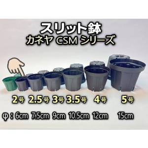 深鉢    ２個 プレステラ 深鉢 90 5個セット | Maceta