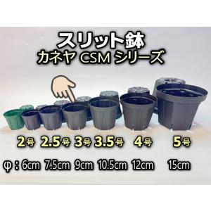スリット鉢-3号(CSM-90)黒(カネヤ：ブラック)＠多肉植物・塊根植物コーデックス・アガベ・サボテン・盆栽・観葉・実生[2GB][254GB]