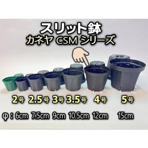 スリット鉢-3号(CSM-90)黒(カネヤ：ブラック)＠多肉植物・塊根