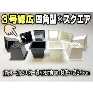 3号縁広-四角型プラ鉢-黒(スクエア/スクウェア)※側面の擦れ傷目立ちがち