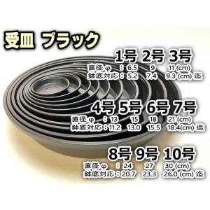 厚手のプラ鉢-ふっくら2号ミニ【黒こげ茶】[2GB]の詳細画像4