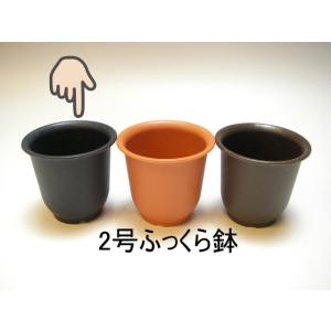 厚手のプラ鉢-ふっくら2号ミニ【黒-超ミニ】[2GB]の商品画像