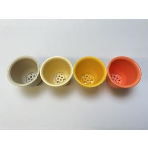 厚手のプラ鉢-ふっくら2号ミニ【ゴールデンイエ...の詳細画像1