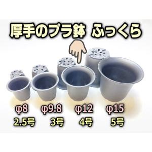 厚手のプラ鉢-ふっくら3号-黒＊U-30(QBRAND)＠多肉植物・塊根植物