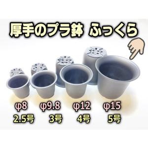 厚手のプラ鉢-ふっくら3号-黒＊U-30(QBRAND)＠多肉植物・塊根植物