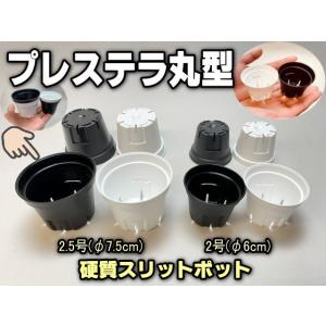プレステラ丸型2.5号スリット鉢【黒】●＠多肉植物・塊根植物コーデックス・アガベ・サボテン・観葉・実生[2GB]