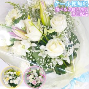 花束 切花 花種類 スイートピー 生花 花 ガーデニング 通販 Yahoo ショッピング