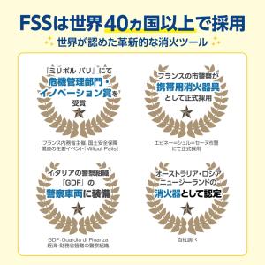 FIRE SHOKA STICK(ファイヤーシ...の詳細画像3