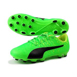evopower vigor 4