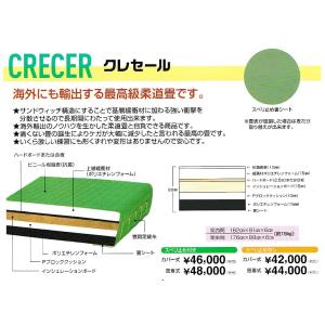 【一畳から発送】軽量化学柔道畳≪海外へも輸出、最高級畳≫「クレセール」