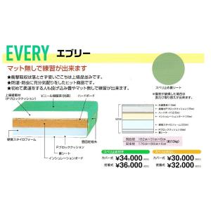【一畳から発送】軽量化学柔道畳≪マット無しで練習≫「エブリー」