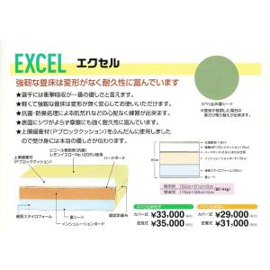 【一畳から発送】軽量化学柔道畳≪衝撃吸収と耐久性≫「エクセル」