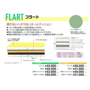 【一畳から発送】軽量化学柔道畳オールクッション「フラート」