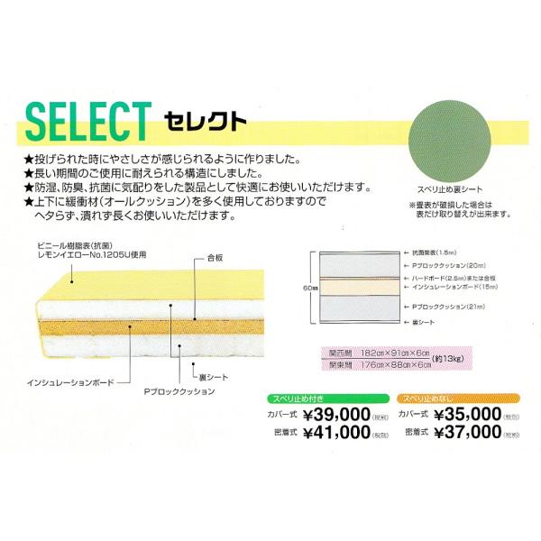 【一畳から発送】軽量化学柔道畳≪耐久性重視≫「セレクト」