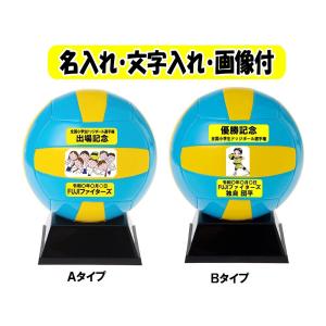 Mikasa マスコットボール サイン入り 名入れ】ミカサ(MIKASA) バレーボール 記念品用マスコット＋