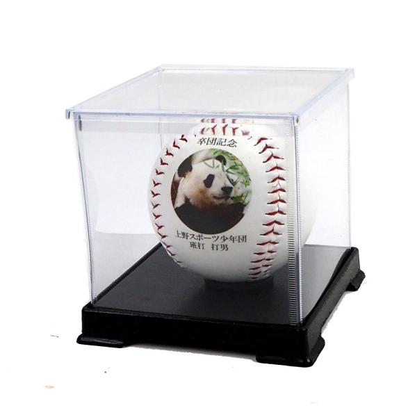 ソフトボール用サインボール「記念ボール　フルカラープリント」(クリアボックス付き）