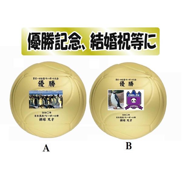 ★画像、文字入れバレーボール★「金色サインボール５号球」V5M9500