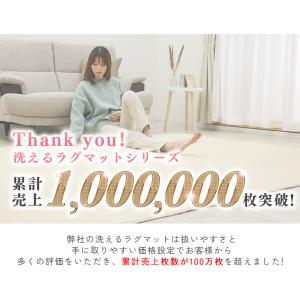 ラグ カーペット ラグマット 洗える 1畳 1...の詳細画像4