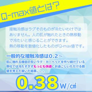 ラグ 夏 ひんやり 冷感 接触冷感 ラグ 18...の詳細画像2