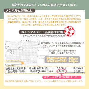 ラグ カーペット 厚手 低反発ラグ 極厚 25...の詳細画像5