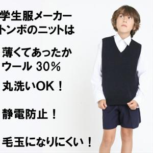 【学生服のトンボ スクールベスト】ウール30%...の詳細画像1