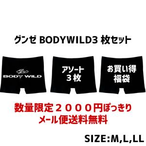 グンゼ パンツ ボディワイルド ボクサーブリーフ 3枚組アソートセット bodywild 2000円ポッキリ 男性用 メンズ グンゼ ボクサー パンツ プレゼント